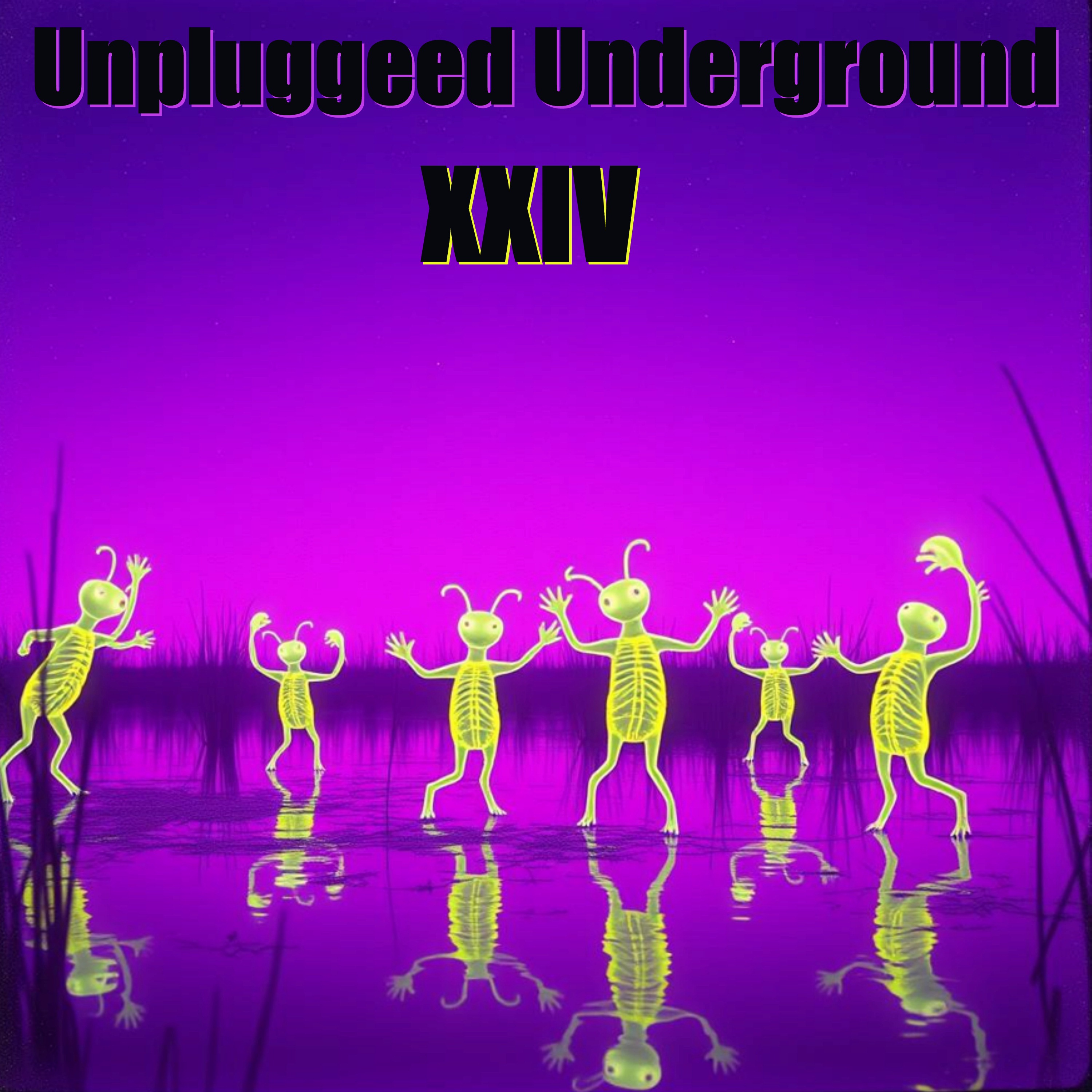 Unplugged Underground XXIV